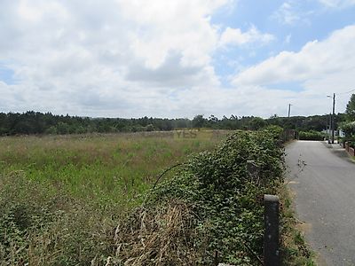 listing-picture-0