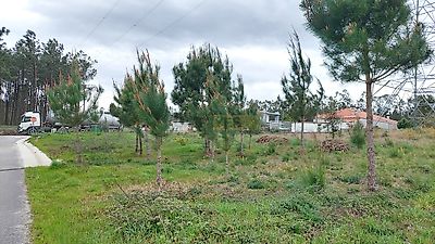 listing-picture-0