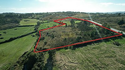 listing-picture-0