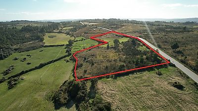 listing-picture-0