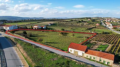 listing-picture-0