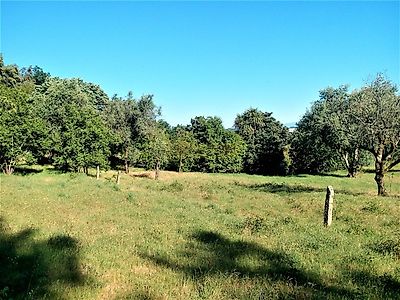 listing-picture-0