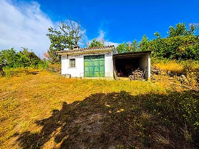listing-picture-0