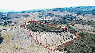 listing-picture-0
