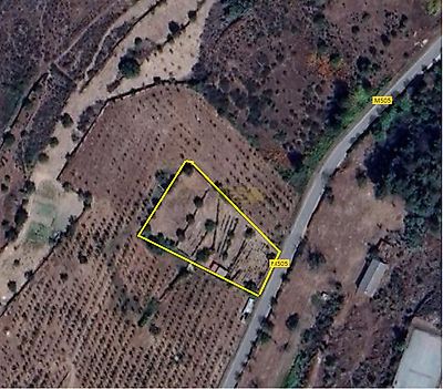 listing-picture-0