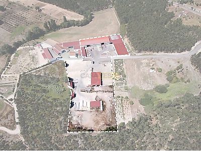listing-picture-0