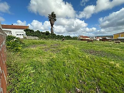 listing-picture-0