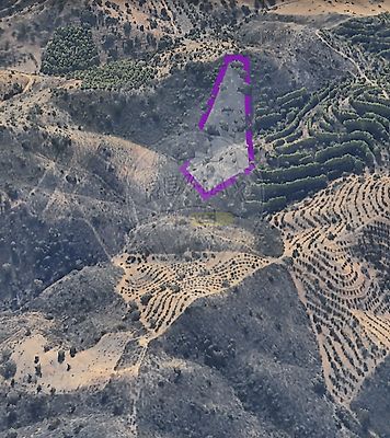 listing-picture-0