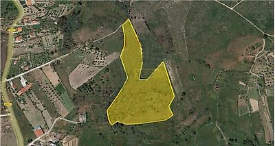 listing-picture-0