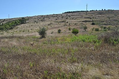 listing-picture-0