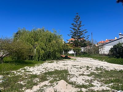 listing-picture-0
