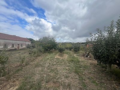 listing-picture-0