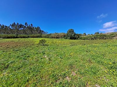 listing-picture-0