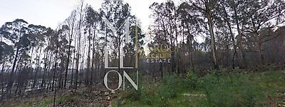 listing-picture-0