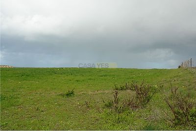 listing-picture-0