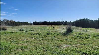 listing-picture-0