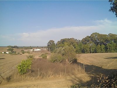 listing-picture-0