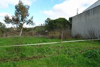 listing-picture-0