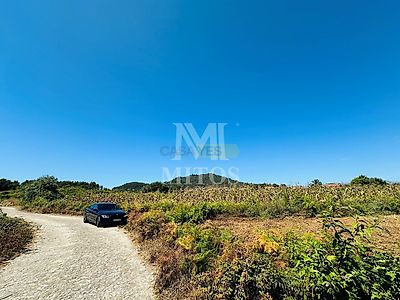 listing-picture-0