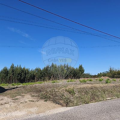 listing-picture-0