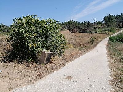 listing-picture-0