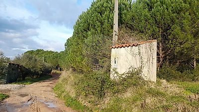 listing-picture-0