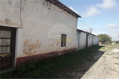 listing-picture-0