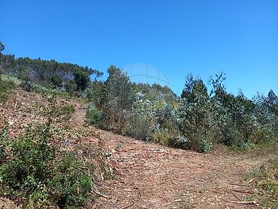 listing-picture-0