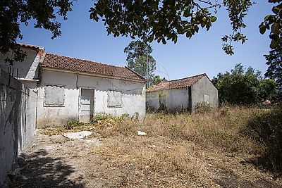 listing-picture-0