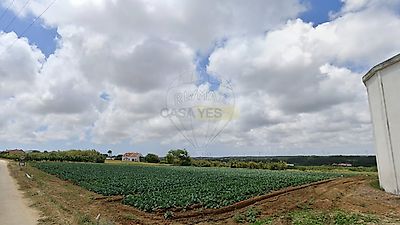 listing-picture-0