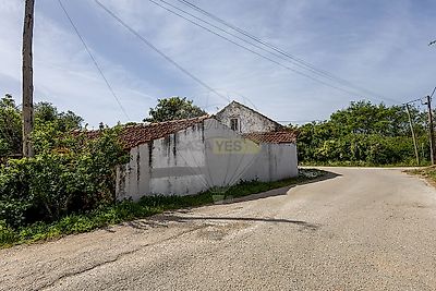 listing-picture-0
