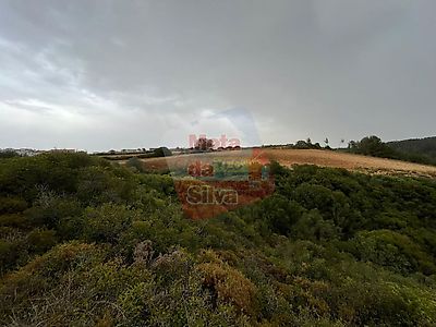 listing-picture-0