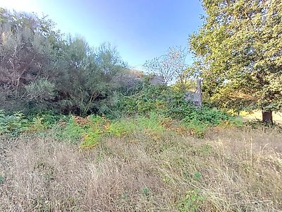 listing-picture-0