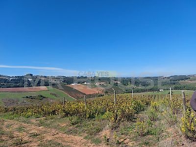 listing-picture-0