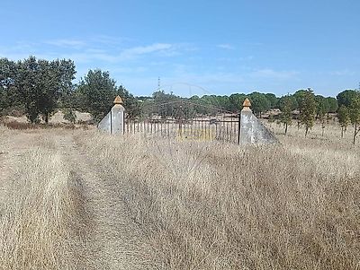 listing-picture-0
