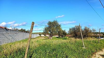 listing-picture-0