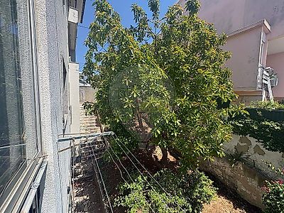 listing-picture-0