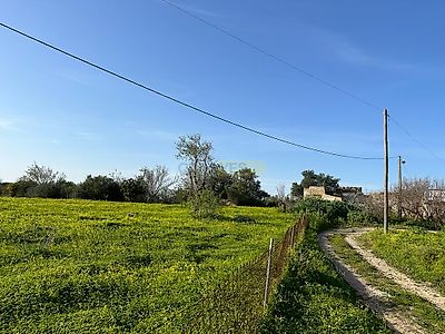 listing-picture-0
