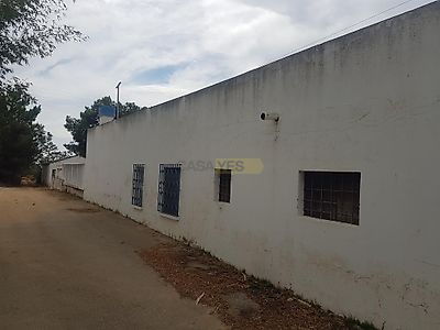 listing-picture-0