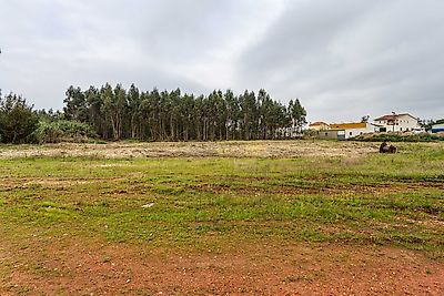 listing-picture-0