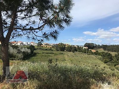 listing-picture-0