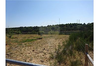 listing-picture-0