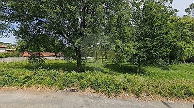listing-picture-0