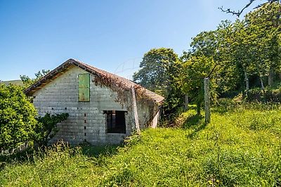 listing-picture-0