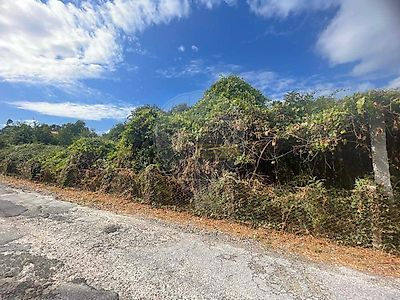 listing-picture-0