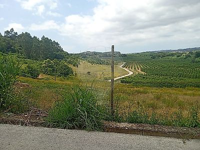 listing-picture-0