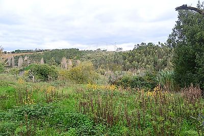 listing-picture-0