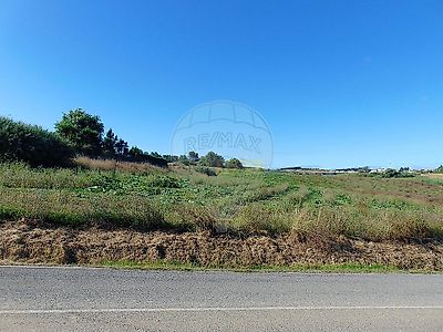 listing-picture-0
