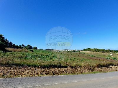 listing-picture-0