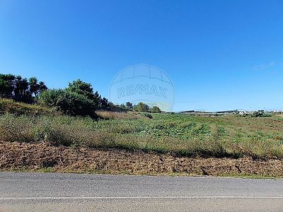 listing-picture-0